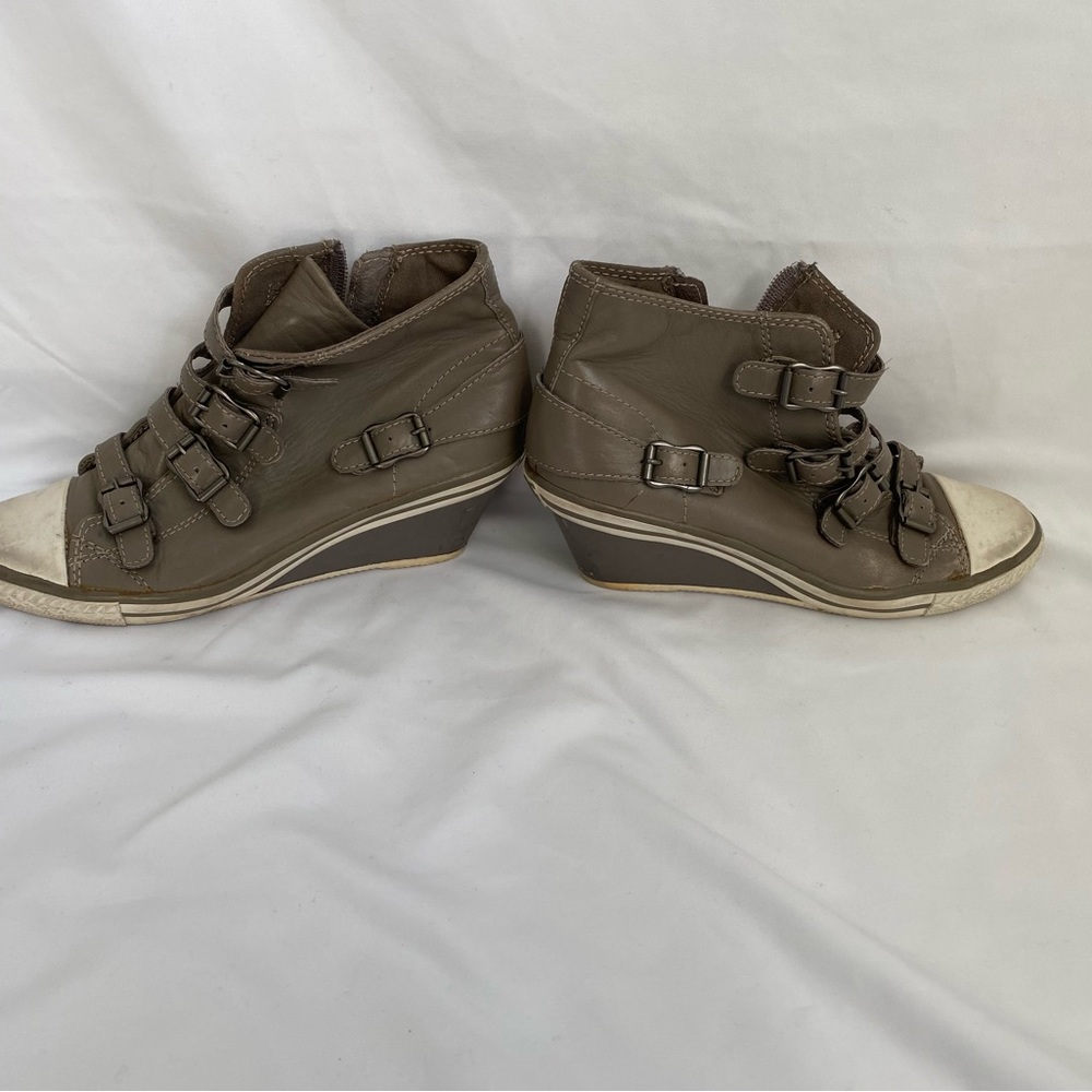 ASH Genial Bis Limited Wedge Sneaker Shoe Grey